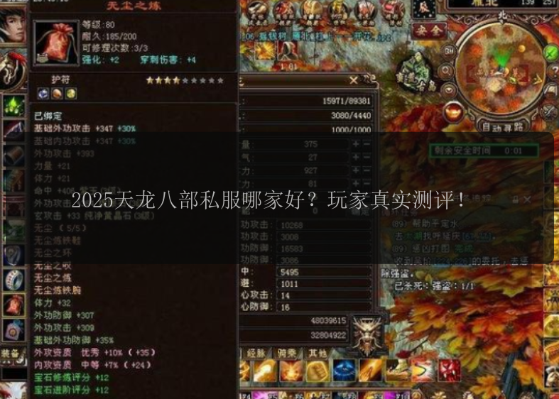 2025天龙八部私服哪家好？玩家真实测评！